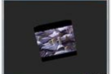 Flash Engine预览：